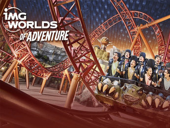 img world